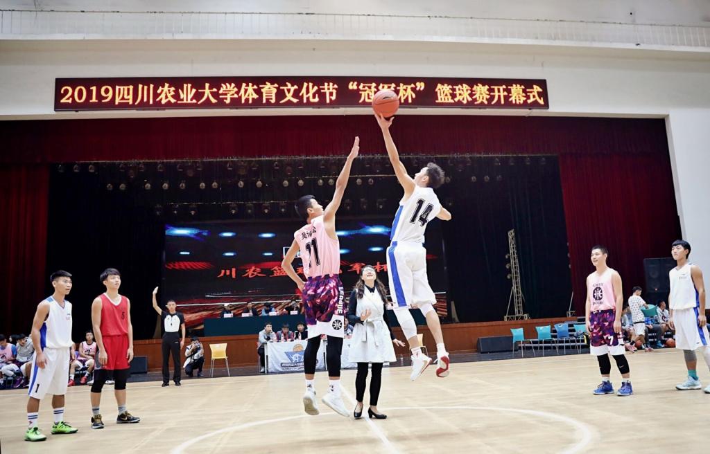 看球吧APP下载
