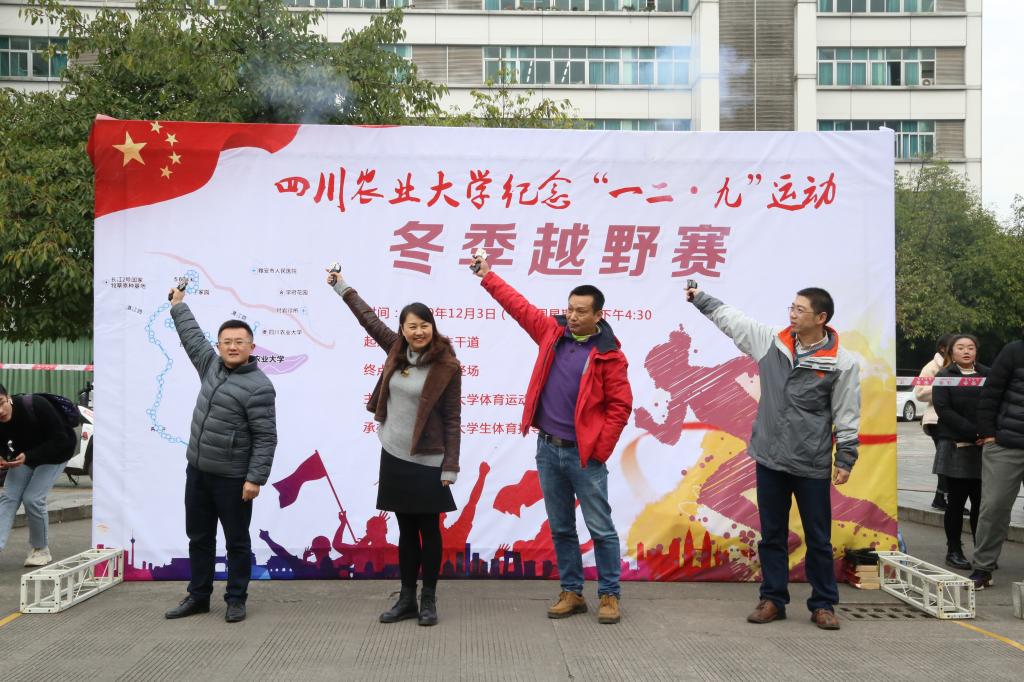 看球吧加速节点