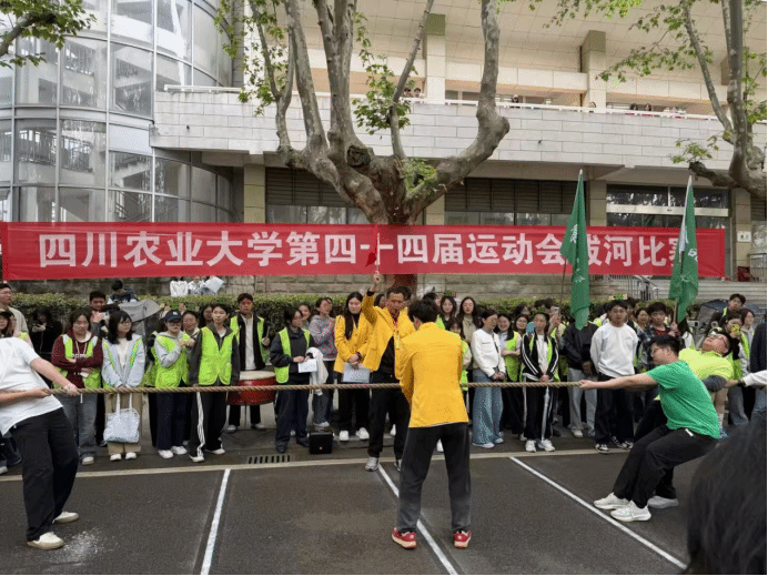 看球吧稳定线路