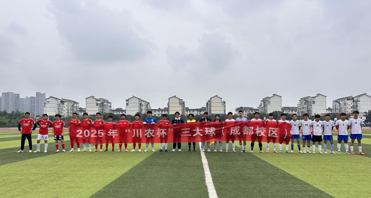 看球吧指定入口