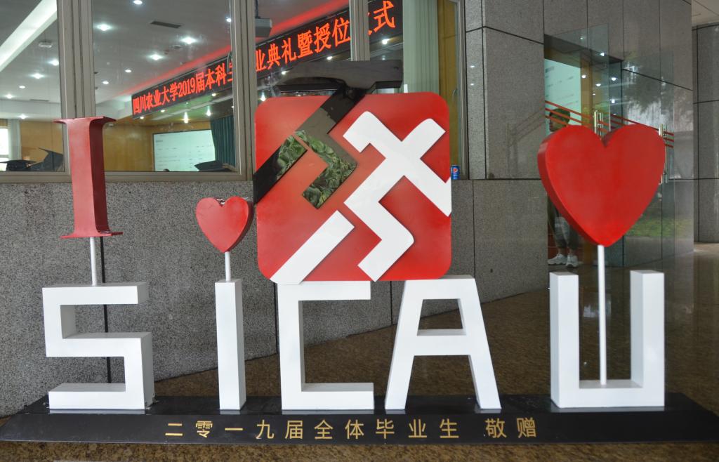 看球吧指定通道
