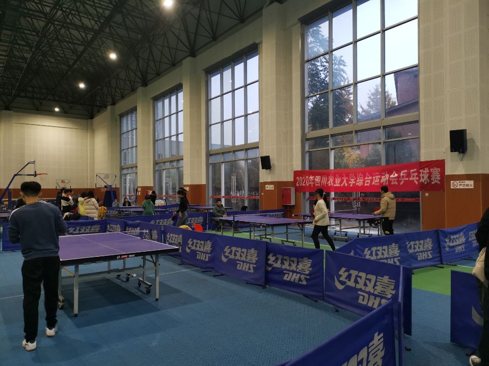 看球吧指定入口