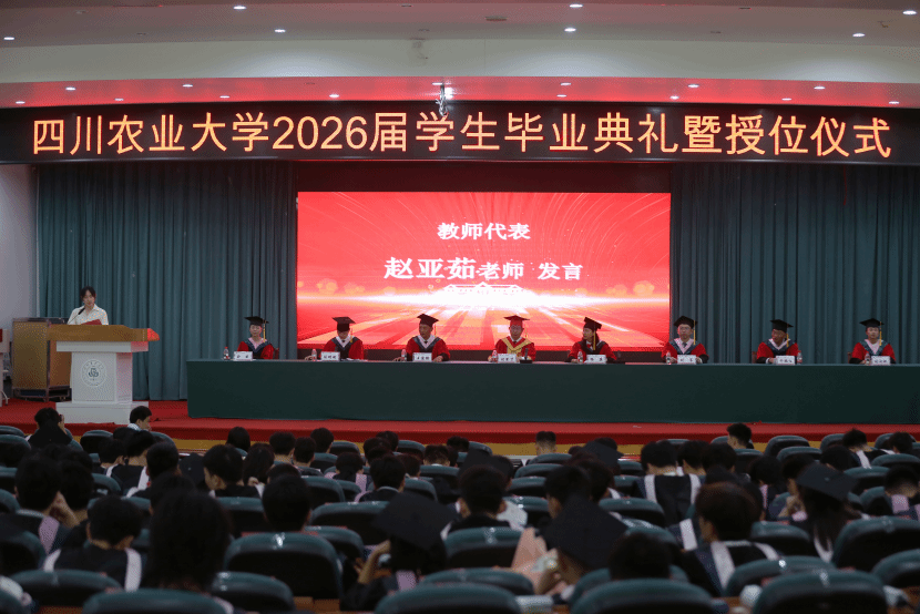 看球吧指定通道图片