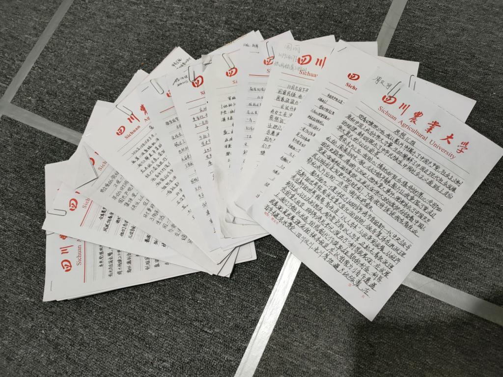 看球吧加速节点