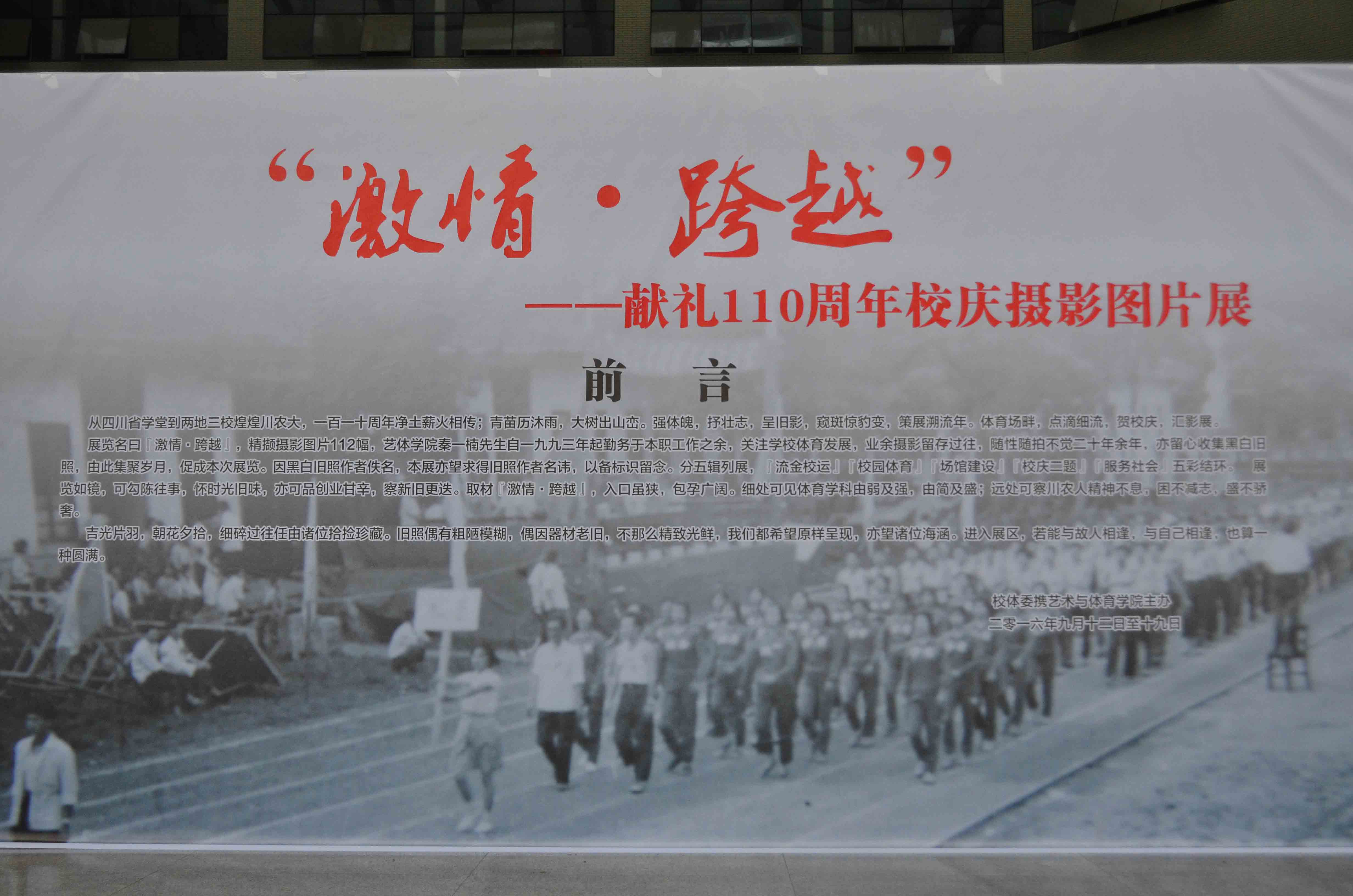 看球吧指定入口图片