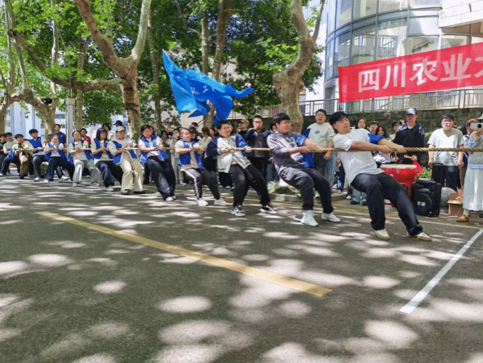 看球吧体育频道